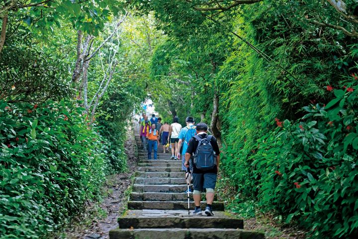 ▲觀音山步道生態豐富是民眾假日休閒好去處。　圖：交通部觀光局北海岸及觀音山國家風景區管理處／提供