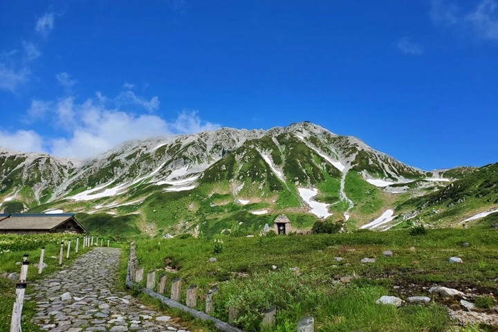 ▲夏季還能看到白雪，是立山一大特色。　圖：立山黒部貫光株式会社／提供