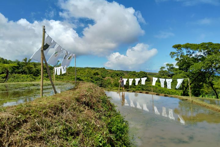 ▲貢寮雞母嶺的百年水梯田。　圖：東北角暨宜蘭海岸國家風景區管理處／提供