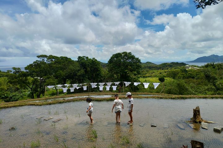 ▲「水T藝術節」將水梯田變成露天美術館。　圖：東北角暨宜蘭海岸國家風景區管理處／提供