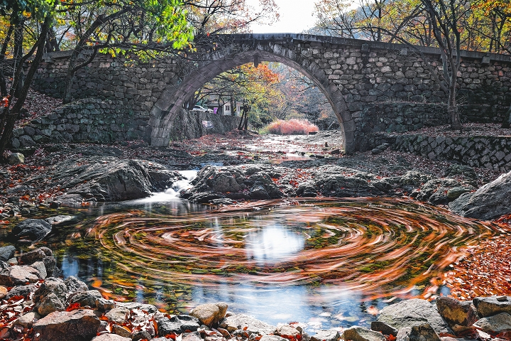 漫遊韓國麗水 愛上童話般秋景