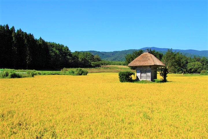 岩手縣遠野市的荒神神社一年四季有著不同風貌，是日本攝影師和媒體熱愛的取景地。　圖：岩手縣 / 提供