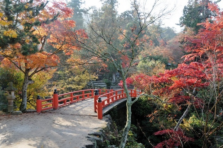 ▲宮島名物紅葉饅頭的靈感來源地：紅葉谷公園。　圖：廣島縣觀光連盟／提供