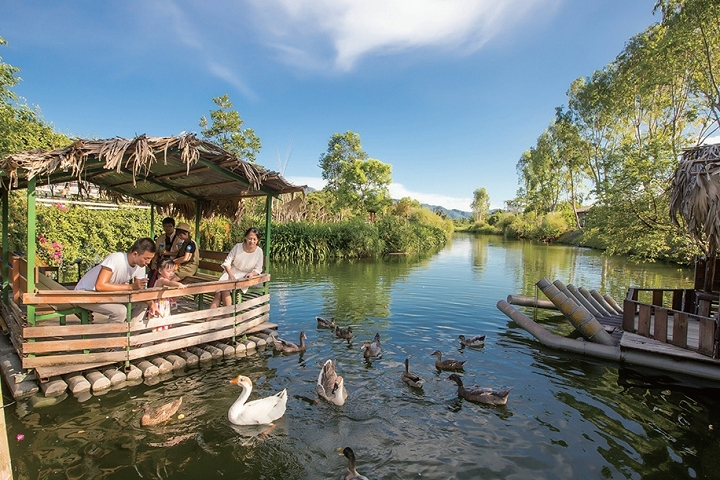 ▲豐之谷竹筏生態導覽，還可以餵食可愛的水鴨。　圖：理想大地度假飯店／提供