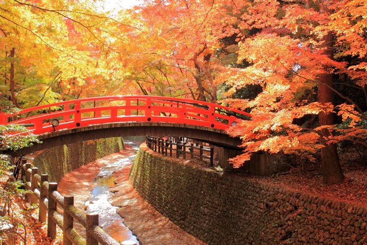 ▲京都紅葉名所「北野天滿宮」。　圖：京都ブライトンホテル／來源