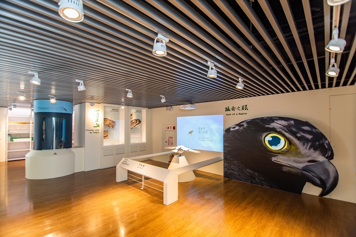 ▲觀音山猛禽展示館。　圖：北海岸及觀音山國家風景區管理處／提供