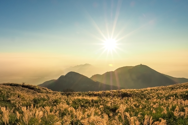 秋高氣爽的時節，推薦陽明山秋遊。　圖：shutterstock／來源