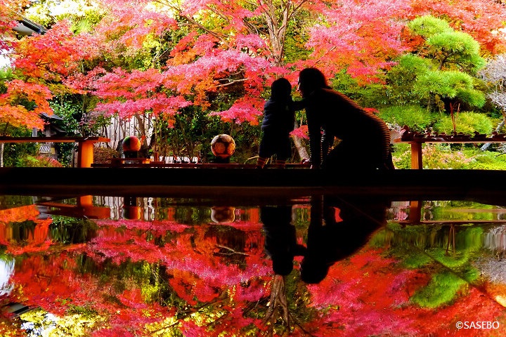 ▲佐世保壽福寺的逆紅葉美景是近年打卡熱點。　圖：長崎縣觀光連盟／提供