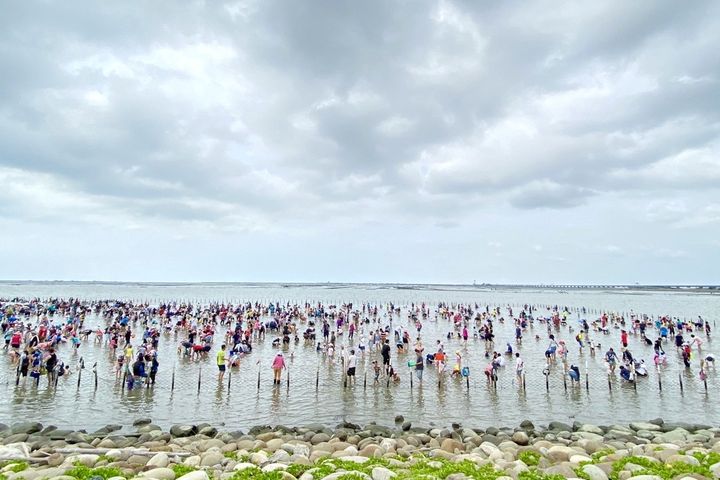 ▲民眾參與觀光赤嘴園挖文蛤活動。　圖：臺南市政府觀光旅遊局／提供