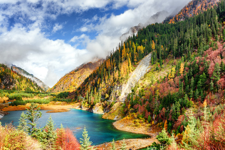 ▲九寨密佈的原始森林浸染秋色。　圖：ShutterStock／來源