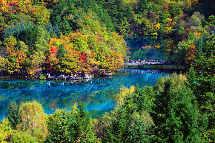 ▲九寨溝湖水澄澈。　圖：ShutterStock／來源