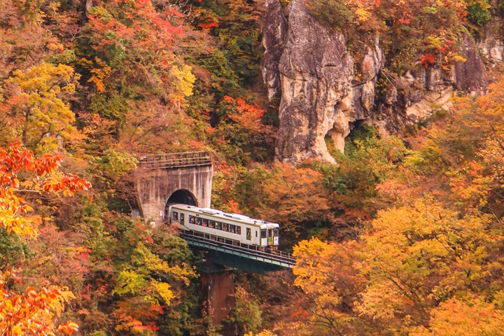 行駛於鳴子峽紅葉山谷中的陸羽東線小火車，每年的10月中旬～11月上旬是最佳賞楓期。　圖：一般社團法人東北觀光推進機構／提供