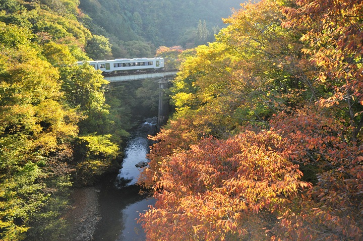 ▲JR山田線班次很少，想拍紅葉電車美照建議自駕比較方便。　圖：岩手縣觀光協會 / 提供