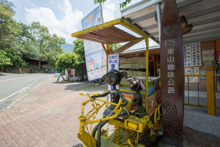 【暢遊西拉雅】秋遊趣！ 東山175咖啡公路之旅