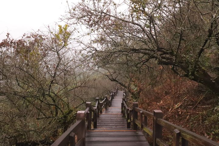 ▲幽靜山城適合後疫情的小鎮longstay。　圖：茂林國家風景區管理處／提供