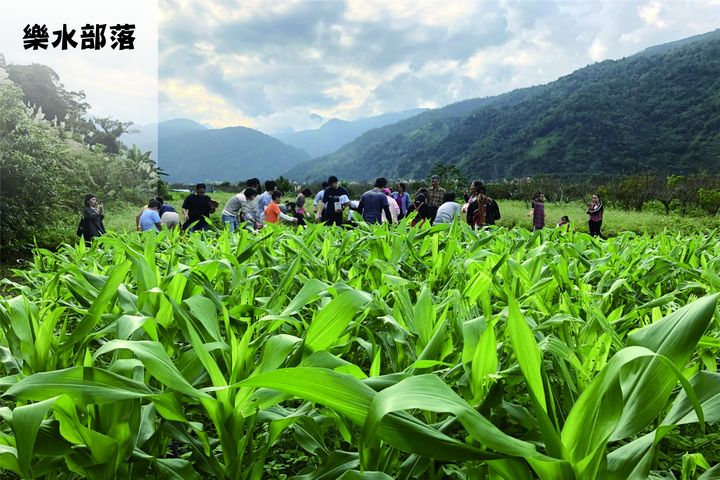 ▲樂水部落生活體驗營。 圖：宜蘭縣原住民事務所／提供