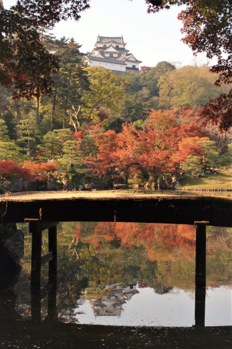 ▲玄宮園。　圖：日本旅行情報局／提供