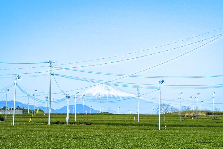 ▲從「KANEJYU農園」看到富士山與茶園的寬闊景色。　圖：台灣人の1人靜岡案內所／提供
