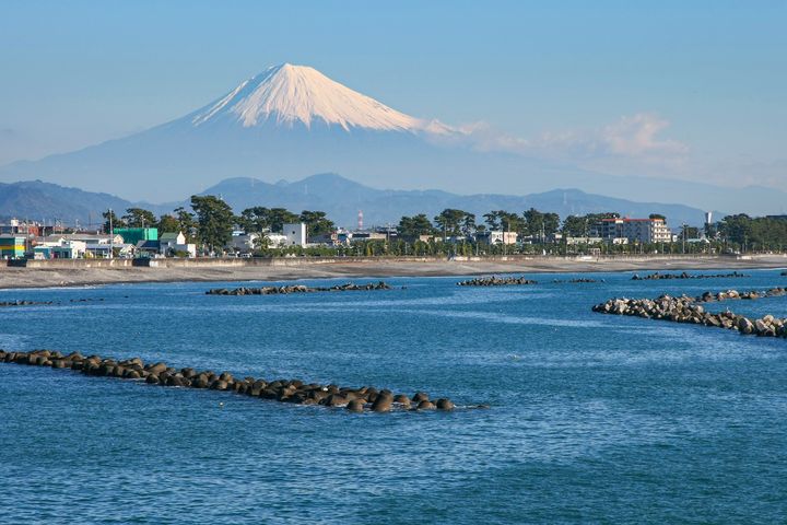 靜岡駿河灣好吃好玩 魚港大啖海鮮、泡美湯、品好茶