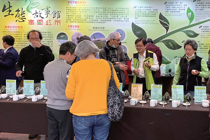 ▲台灣無毒有機認證首批茶農，為天鶴茶區造就出不可被取代的價值。　圖：花蓮縣政府／提供