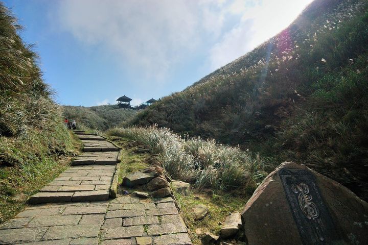 ▲草嶺古道的步道兩旁即可賞芒花。　圖：東北角暨宜蘭海岸國家風景區管理處／提供