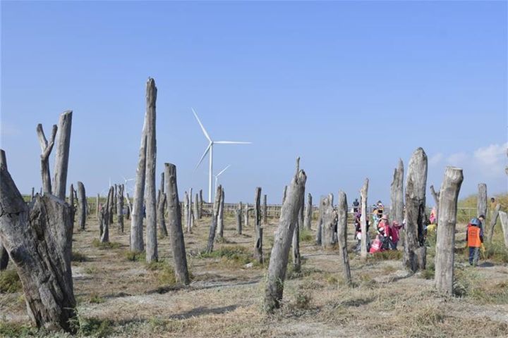 ▲福寶濕地是彰化地區的賞鳥天堂。　圖：彰化縣政府城市暨觀光發展處／提供