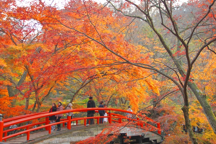 日本關東高速巴士新路線11月登場！帶你輕鬆泡遍溫泉名湯