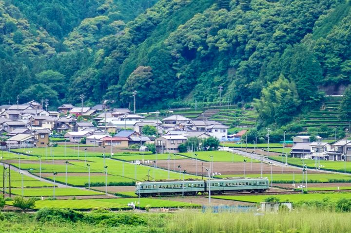 ▲沿大井川兩側時可看到綠油油的茶園非常療癒。　圖：台灣人の1人靜岡案內所／提供