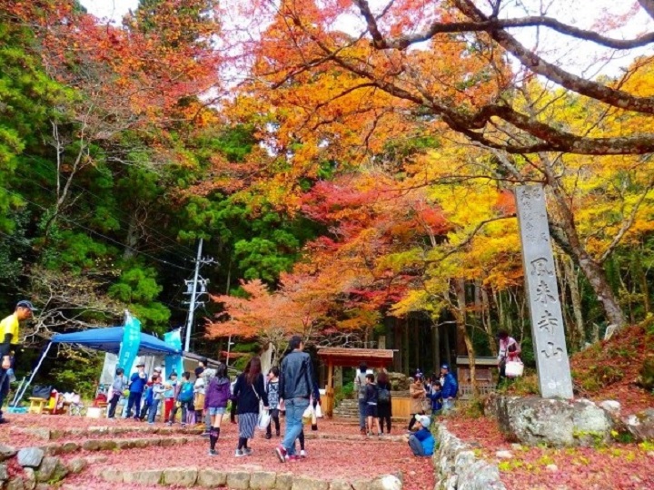 ▲鳳来寺表参道是賞楓名所。　圖：奧三河觀光協議會／提供