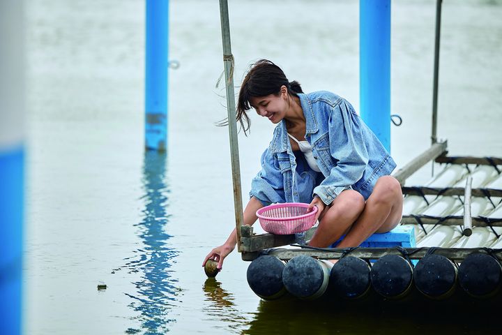 馬蹄蛤主題館體驗下水摸蛤樂趣。　圖：交通部觀光局雲嘉南濱海國家風景區管理處／提供 