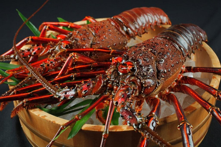 野母崎伊勢龍蝦祭中，可以品嘗到各種鮮美的龍蝦料理。　圖：長崎縣觀光連盟／提供