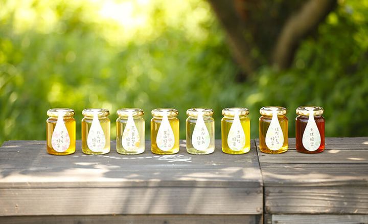 ▲長坂養蜂場販售的蜂蜜相當受歡迎。　圖：長坂養蜂場／提供