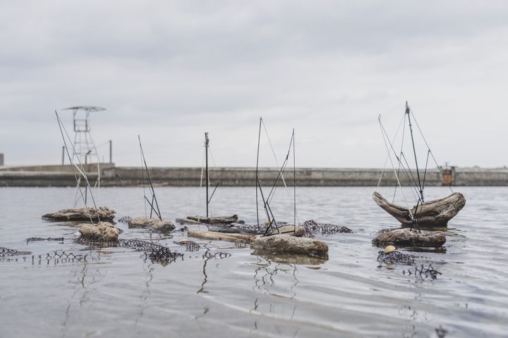 ▲潮_漂流木藝術永續創作_隨風漂流。　圖：北海岸及觀音山國家風景區管理處／提供