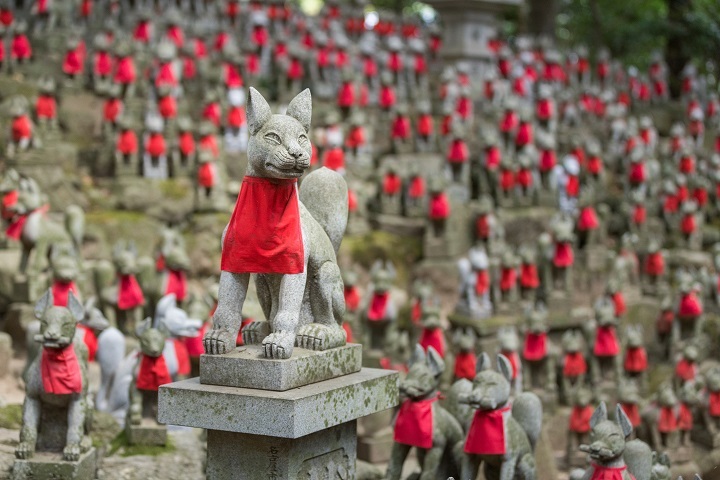 豐川稻荷神社的靈狐塚充滿神秘氣息。 圖:愛知縣東三河總局/提供