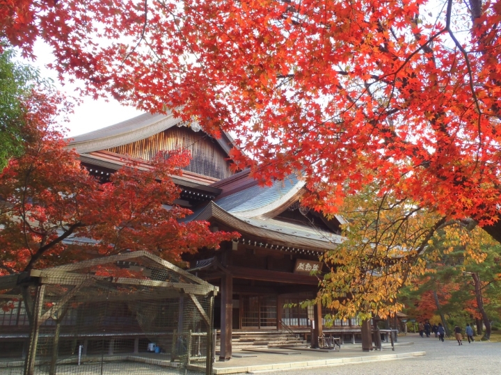 ▲大本神苑。　圖：京都府／提供