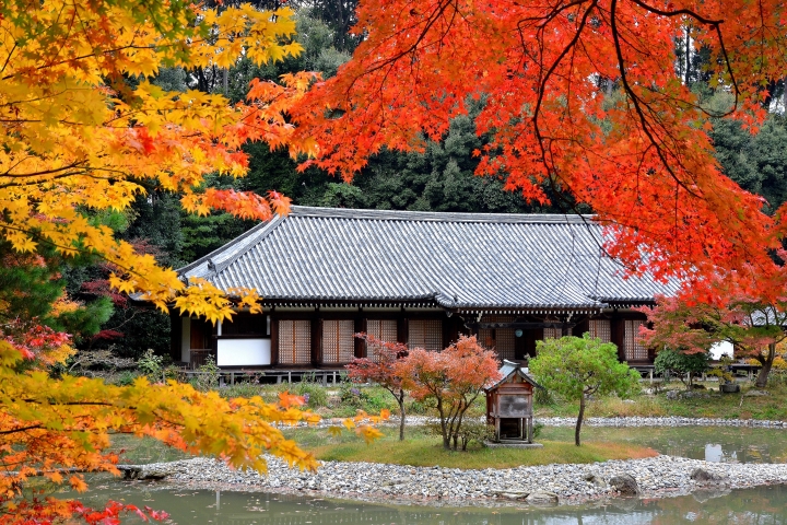 ▲淨琉璃寺。　圖：京都府／提供