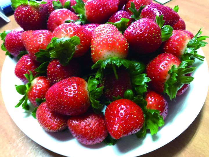 ▲食農體驗採草莓。　圖：農遊超市／提供