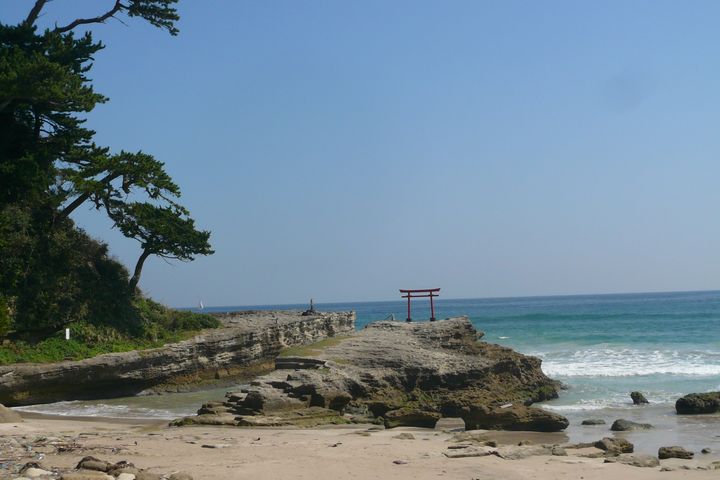 ▲面向大海的白濱神社鳥居是絕佳拍照地點。　圖：美好伊豆創造中心／提供