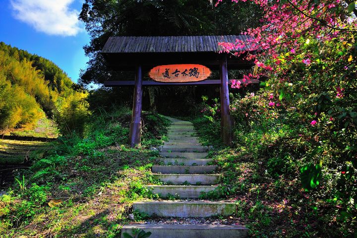 ▲瑞里線站點_瑞太古道。　圖：阿里山國家風景區管理處／提供