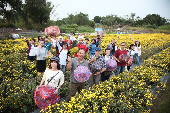 ▲『阿婆个菊田細路．銅鑼歲時記2021秋旅』一起來採花。　圖：參山國家風景區管理處／提供