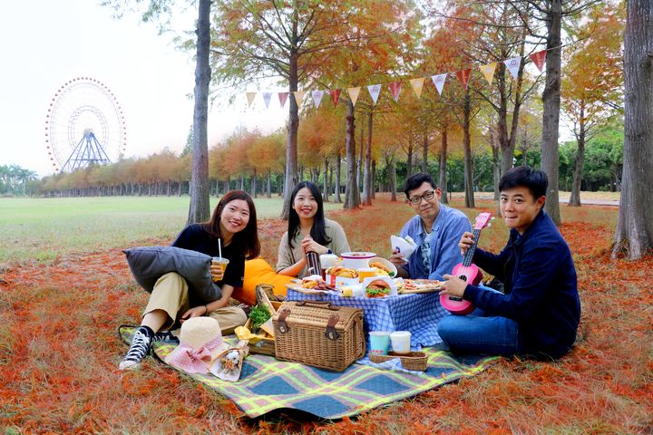 ▲落羽松草原今年開放野餐，四人套票只要$2,200。　圖：麗寶樂園渡假區／提供