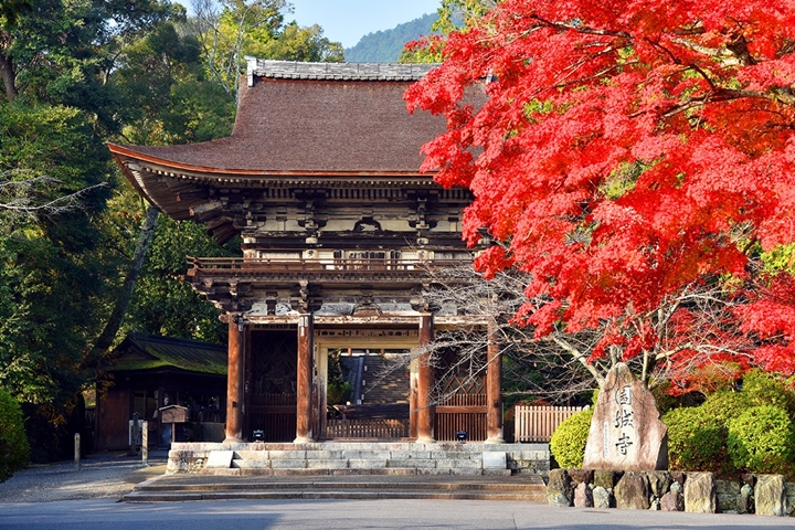 「三井寺」又名園城寺，位於滋賀縣。　圖：株式会社和空プロジェクト／來源