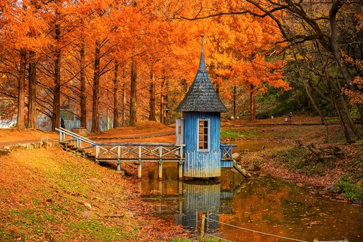 11月下旬～12月上旬公園迎來紅葉季，為童話氛圍更添浪漫。　圖：camecoさん／來源