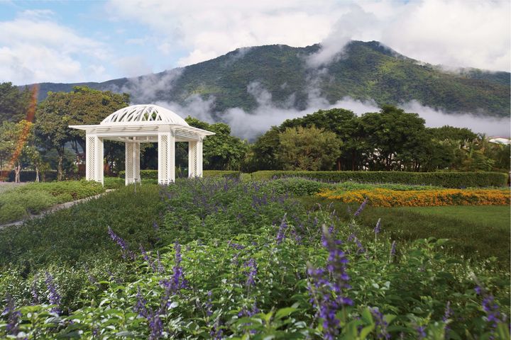 ▲秧悦美地度假酒店座落於1萬4000坪翠綠盎然的有機香草花園。　圖：秧悦美地度假酒店／提供