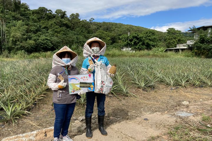 ▲尚武鳳梨田-村落大使自製可愛解說道具。　圖：旅奇周刊／提供