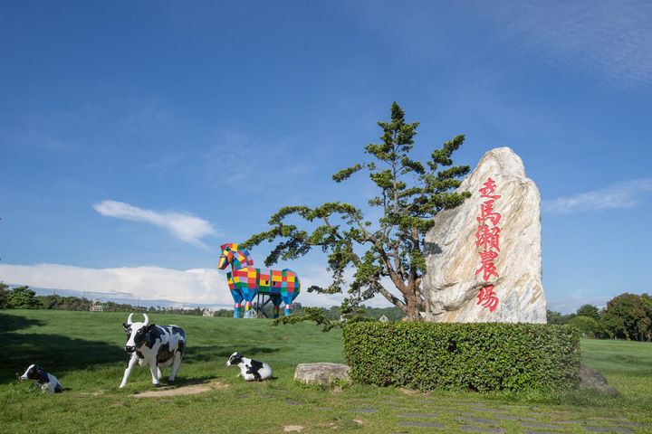 ▲走馬瀨農場的彩虹馬是拍照熱門景點。　圖：交通部觀光局西拉雅國家風景區管理處／提供