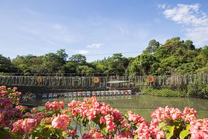 走馬瀨農場的大武壠吊橋。　圖：交通部觀光局西拉雅國家風景區管理處／提供