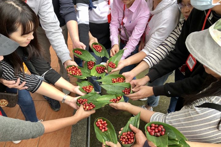 慢活慢旅／作客南庄 咖啡輕旅行體驗小鎮之美