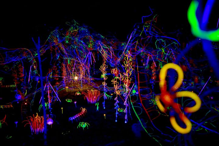 ▲龍崎光節-空山祭（2020）_辛綺《流光樹林：團聚》。　圖：臺南市政府文化局／提供