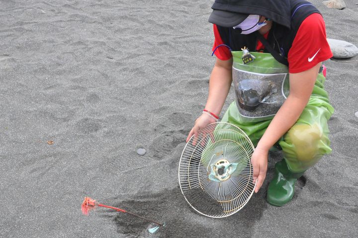 ▲浪潮尋蟹可體驗如何補抓浪花蟹。　圖：旅奇周刊／來源